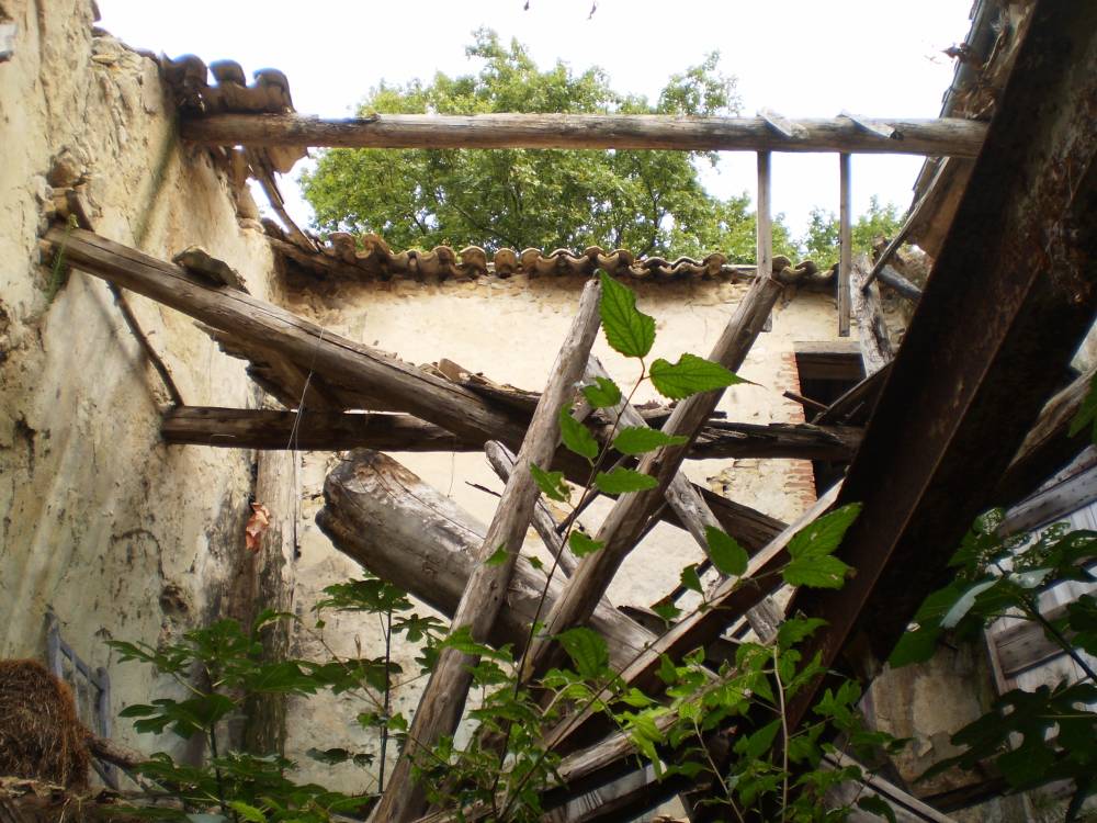ossature-bois-eco-construction-thaudiere-apt